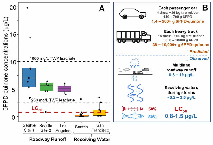 ̥еĵĻѧ6PPDɶϪ ɱ