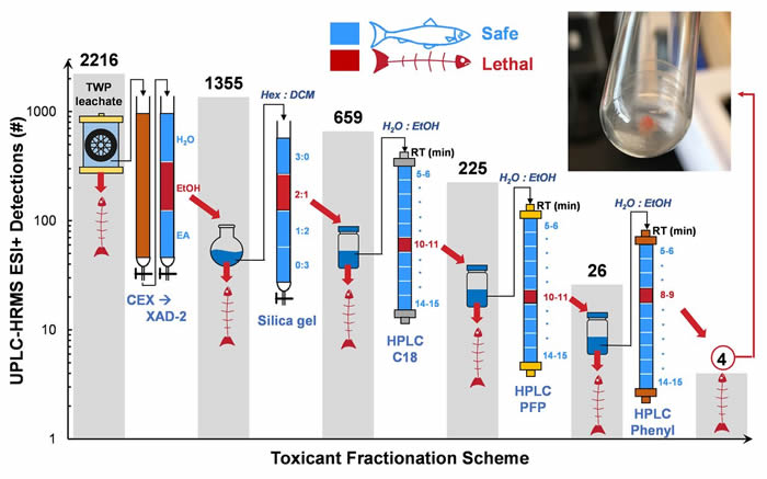̥еĵĻѧ6PPDɶϪ ɱ