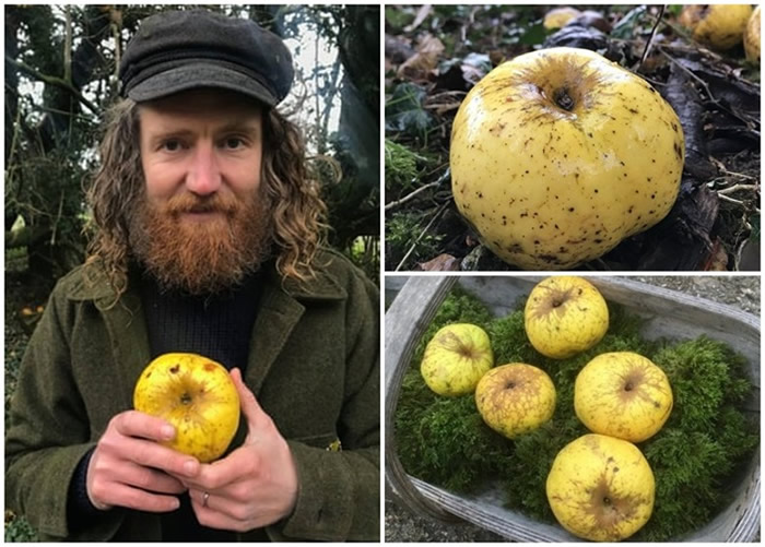 Ӣ�������ؿ��ɵ�ɽ��԰�հ������ܲ�ʱ���ֵ�żȻ������Ʒ��ƻ��