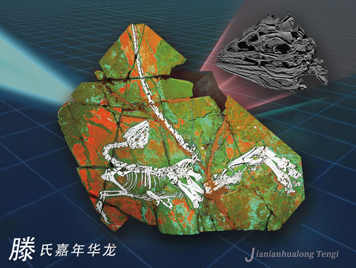 首张大面积微米分辨率恐龙化石X射线荧光元素分布图(艺术图)