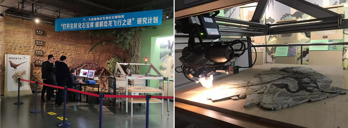滕氏嘉年华龙微聚焦X射线荧光光谱扫描研究现场(大连星海古生物化石博物馆)