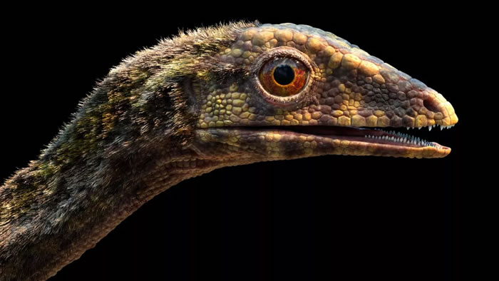 ����Ȼ���������ݻ�������Ľ��׿��������ƿ�����С�Ͷ�������