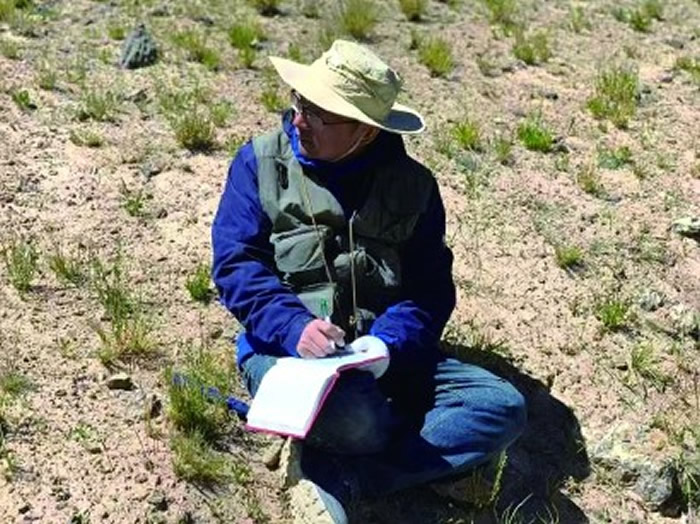 张以春记录剖面信息