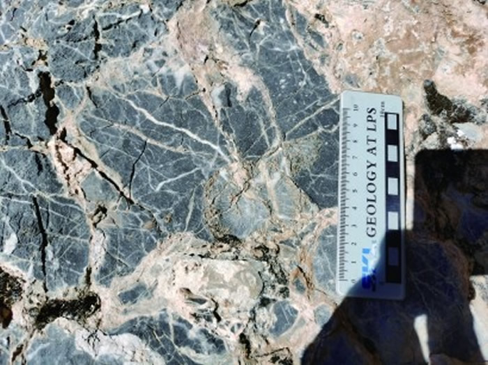 当惹雍错二叠系剖面中的珊瑚化石