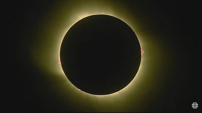 ���������Ϳ����Ǵ����۲⵽����ȫʳ����Դ����������Ƶ��ͼ��