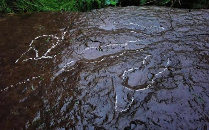 �Ĵ���ر�����Ե�״η��ֵ�1.3����ǰ������ӡ�����Ŵ���Ȼʲô���ܣ�