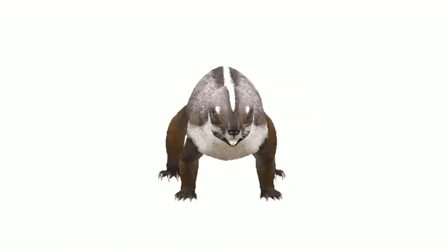 “疯狂的野兽”Adalatherium hui:马达加斯加发现6600万年前负鼠大小的哺乳动物