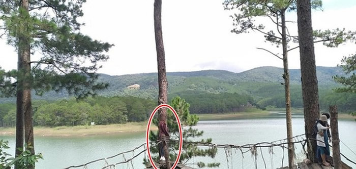 《Soha新闻网》:越南女子请男友帮忙拍照却在镜头前神秘消失 变成“灵异照片”