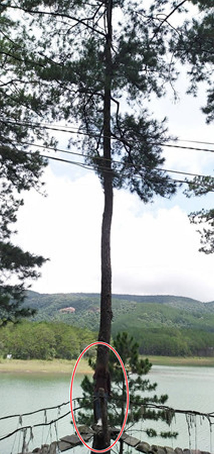 《Soha新闻网》:越南女子请男友帮忙拍照却在镜头前神秘消失 变成“灵异照片”