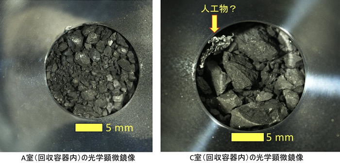 ձ̽2šСǡϲɼмͻص ɫľ̿