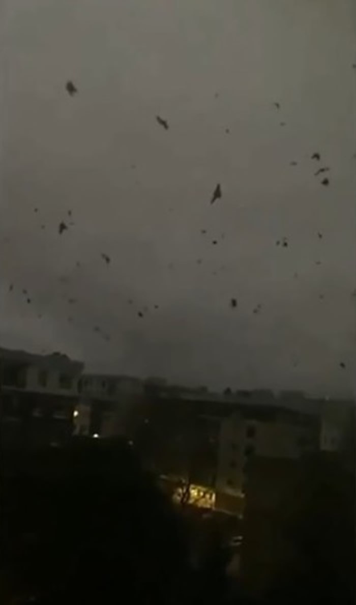 ĩףô󰲴ʡϰֻѻڿ10Сʱ