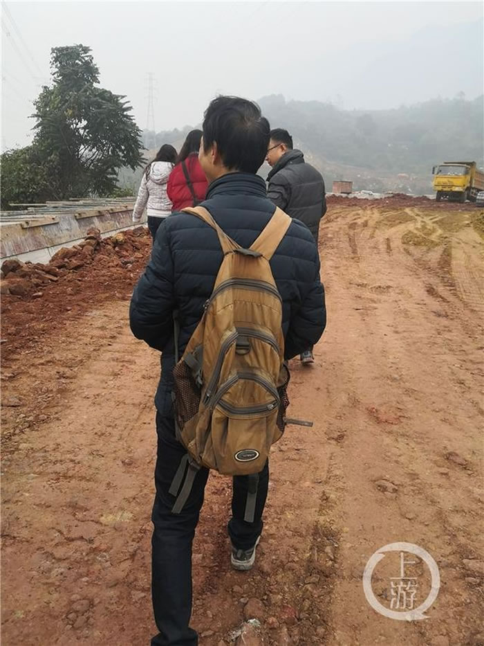 重庆缙云山首次发现“似木贼”化石 1.8亿年前是片巨大湖边森林