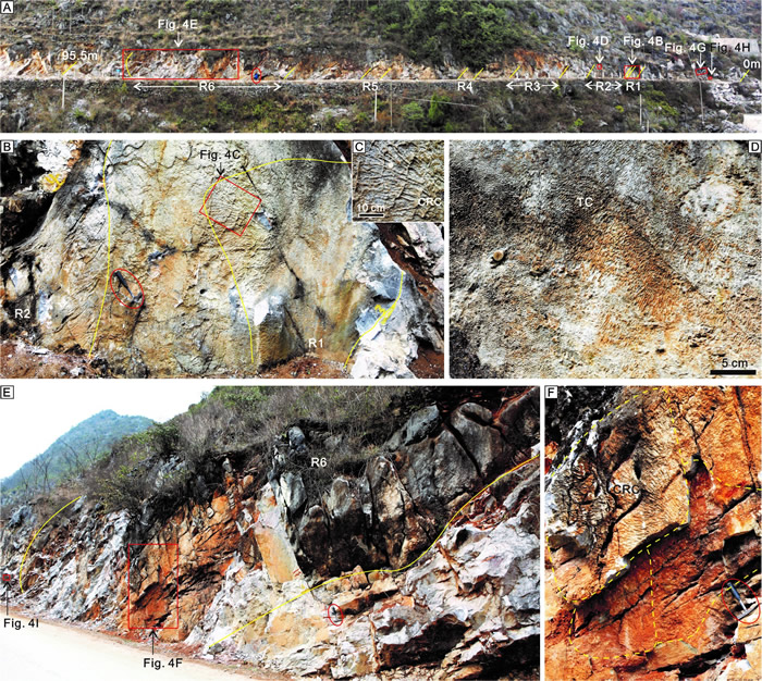 �������ָ���������ά������ɺ����Ұ����Ƭ