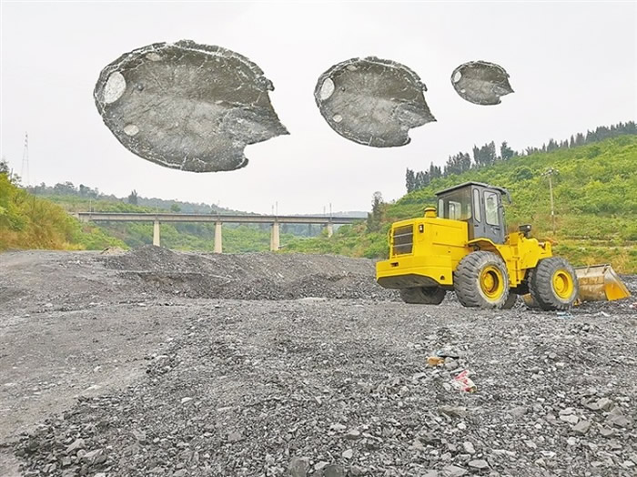 “古鱼王国”云南曲靖海鲜多