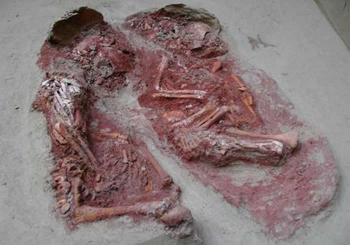 ����ϵ�ͬ��˫��̥