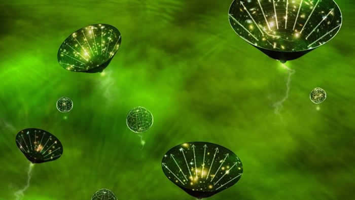 ԭʼڶȫ򲿷ְγɵԭ