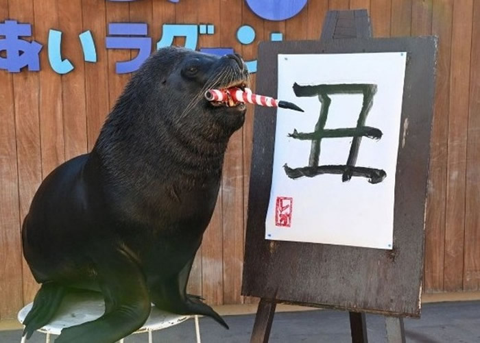 ձδغа˾԰ʨ»Ӻ鷨 ӭţ