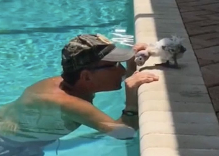 һֻϷͷľİԼëͺͷ 