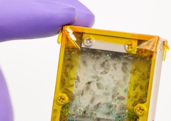 NASAӬϹʿռվʵ оԱ˯