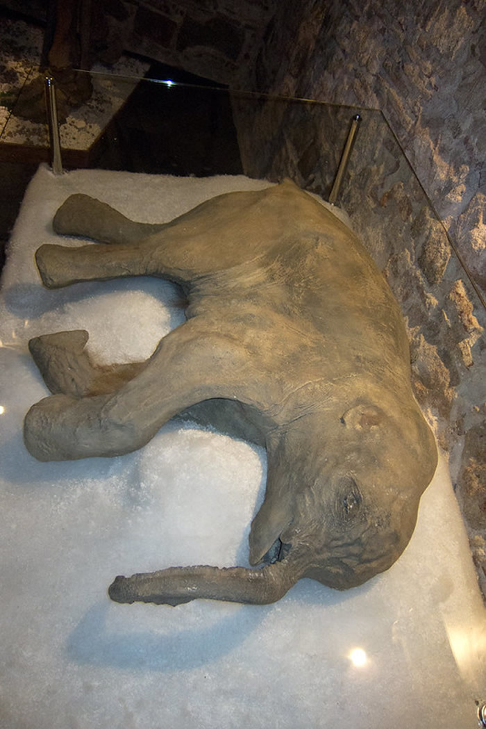 δ������ͨ�����¿�ѧ�����ܽ���������ָ�����