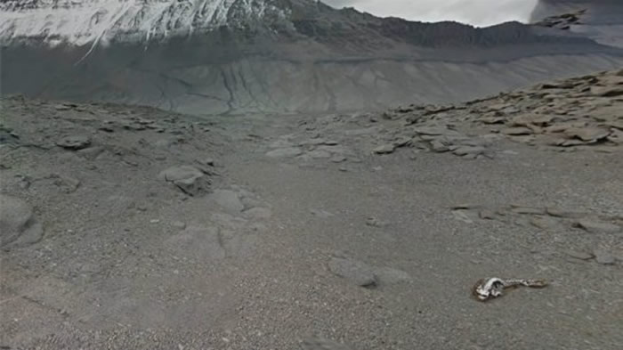 YouTubeƵ��MrMBB333����ӰƬ���ϼ��������־޴�ġ��������ź�