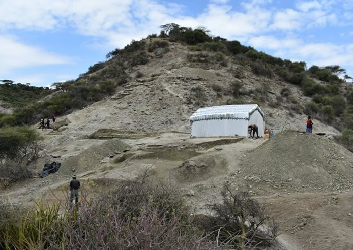 坦桑尼亚奥杜瓦伊峡谷发现200万年前石器及动物化石 证早期人类具备适应环境的能力