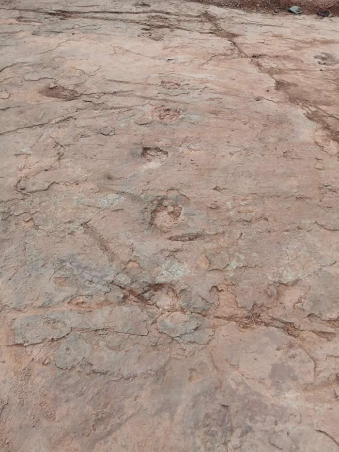 恐龙留下的行迹非常清晰