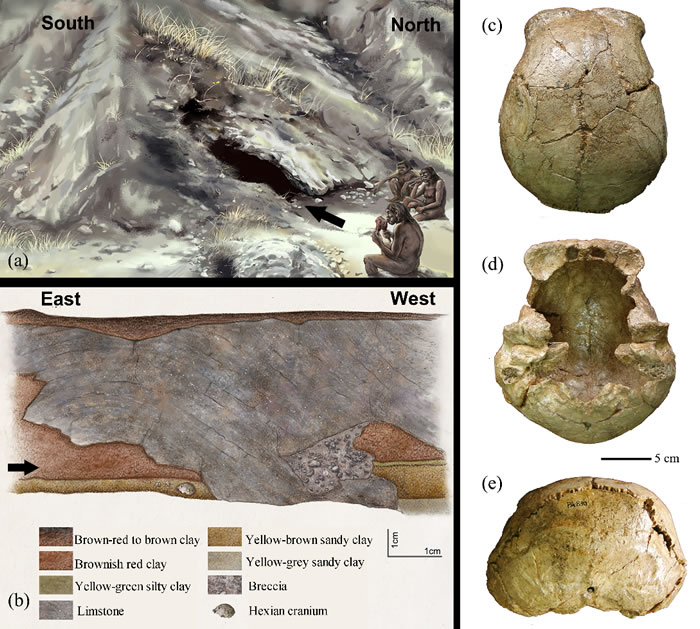 和县人头骨化石及出土洞穴、地层信息(郭肖聪、吴秀杰供图)