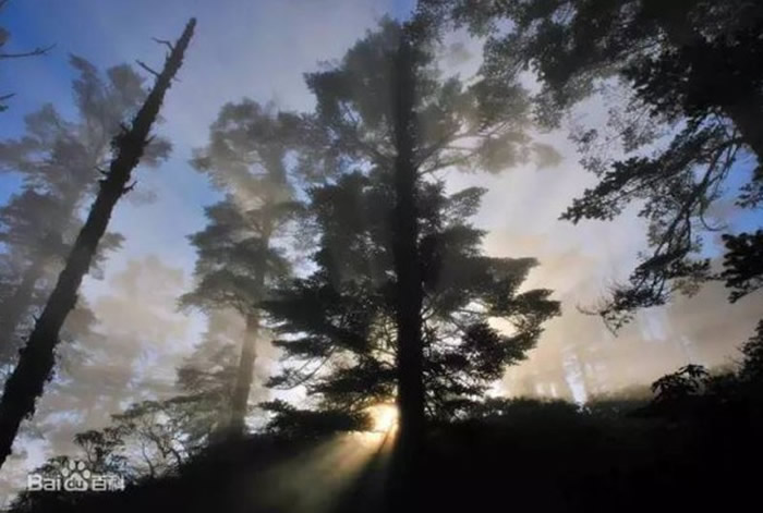 世界上真有“黄泉路”?四川省眉山市瓦屋山有条路许多人走进去就没有再走出来