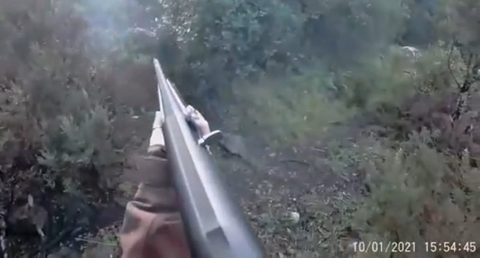 意大利萨丁尼亚岛女猎人遭凶猛野猪反击 没办法装子弹绝望挥枪杆