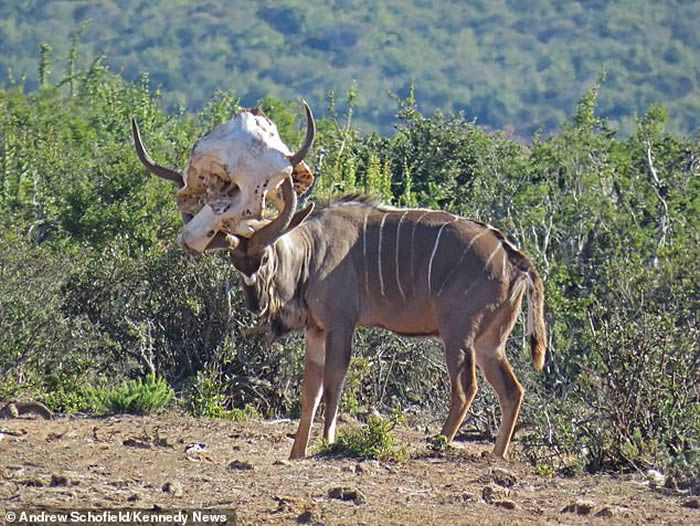 Ϸǵİҹ԰ϰ Ѵͷǵɶ