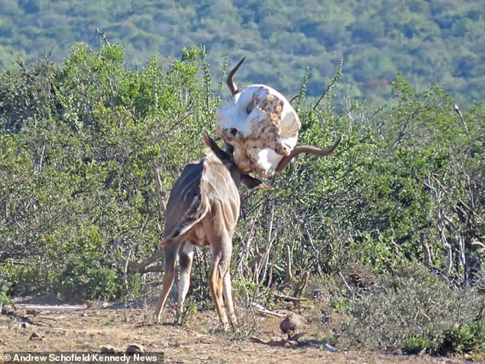 Ϸǵİҹ԰ϰ Ѵͷǵɶ