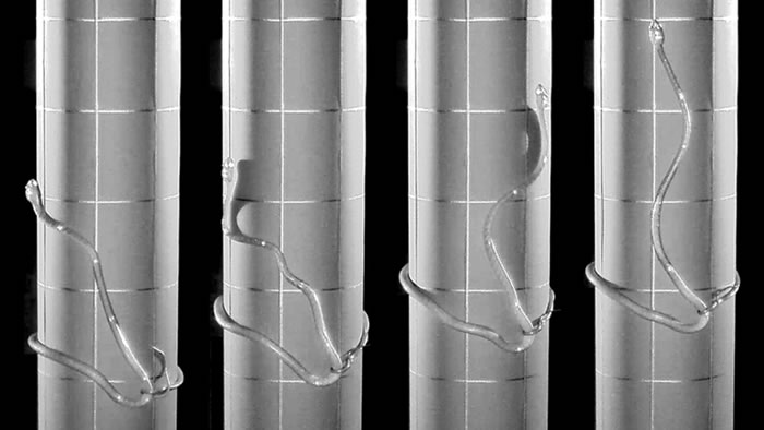 �ص���ɫ����Ϊ�Ե��ߴ���������˲�Ϊ��֪��һ����������