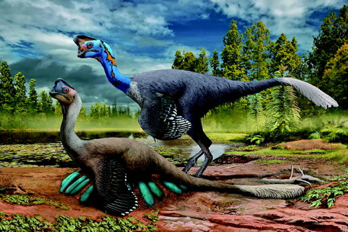 �Ե�������ͼ���Դ�����