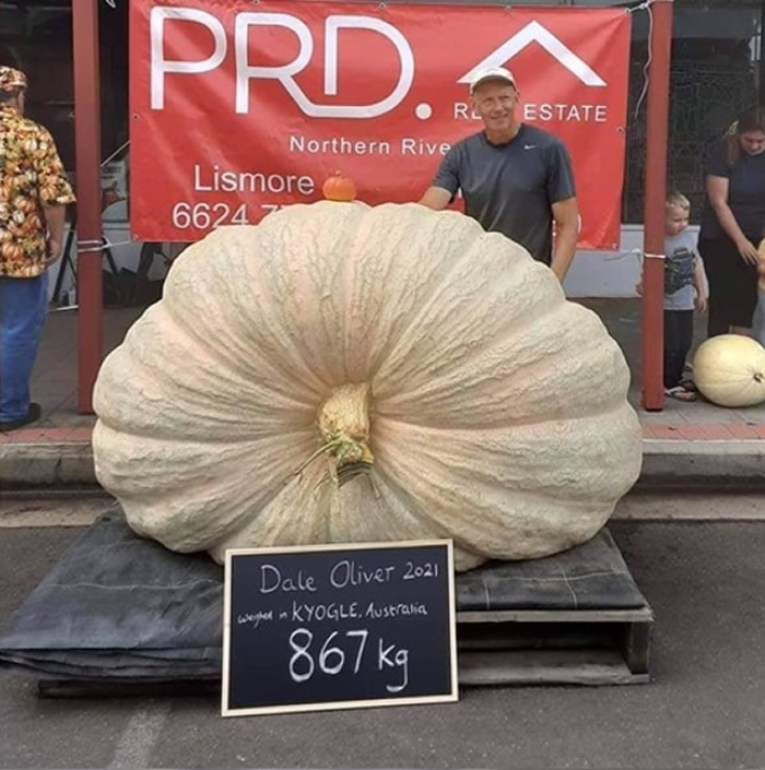 ʿʡްԡϹϵ 867ﴴϰ¼