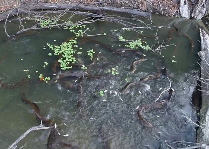 ѷ״ηֵȺʳ ߸ѧҹй