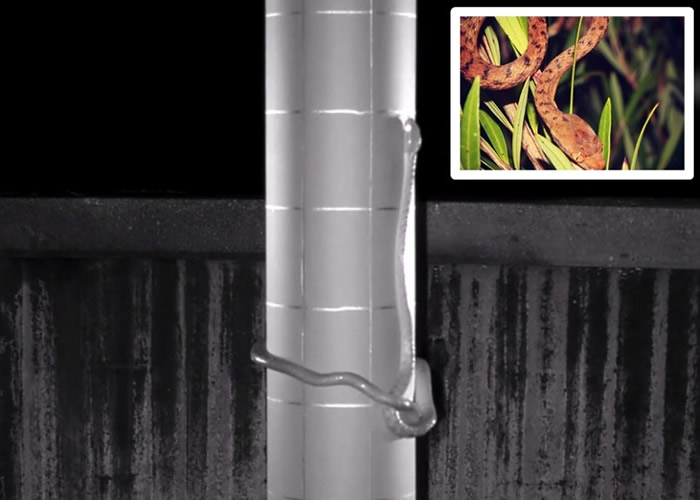 �����ص�ר�ҽ����߸˱������ ���ⷢ����������ӱ�����з�ʽ