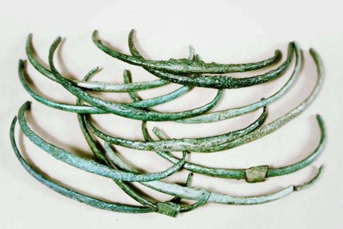 ��PLOS ONE���������о�С�鷢������Ļ��ҿ�����Դ��ǰ��ͭʱ��