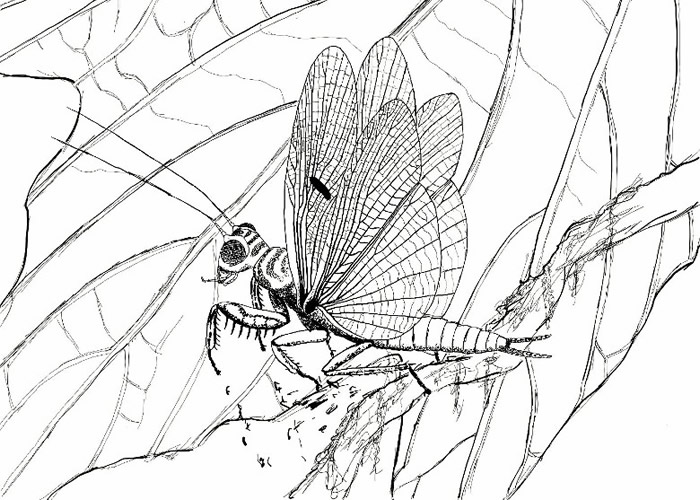 ���ô������ʡ�������󳡷���1����ǰ���Ѽ�ʱ����Ʒ����뻯ʯ