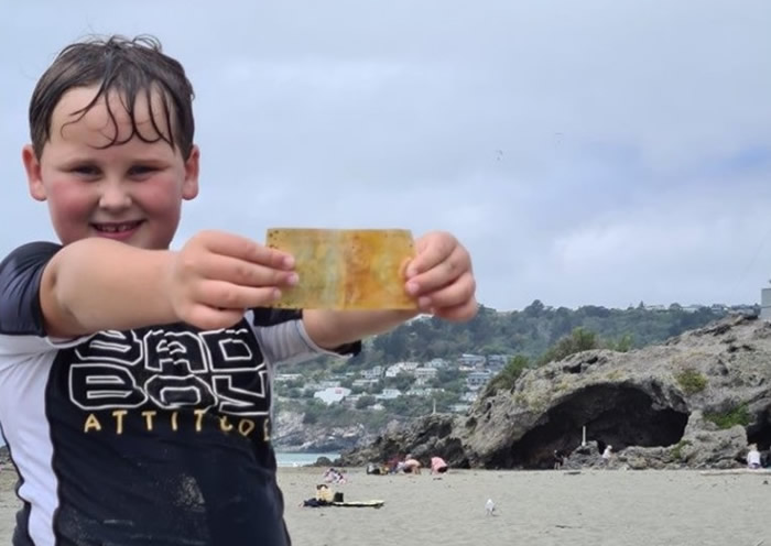 ���������ز�����ͯ���з���5��Ԫ�ɳ� �������n��200��