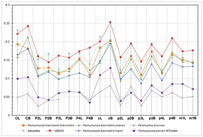 鬣狗牙齿大小对比的辛普森指数图(刘金毅 供图)
