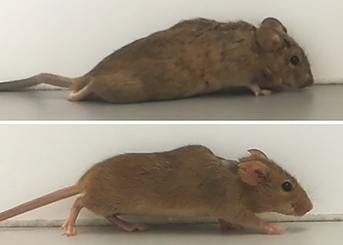 ����ע�뾭��ƵĻ��򵰰�ϸ������ ̱��С��3�ܺ�ָ�����