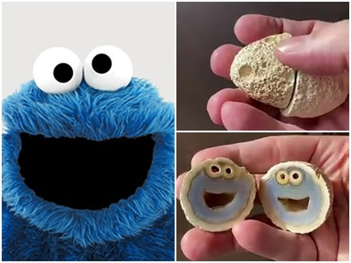 ѧڰ¸ݷһɽʯڲء֥֡ɹ