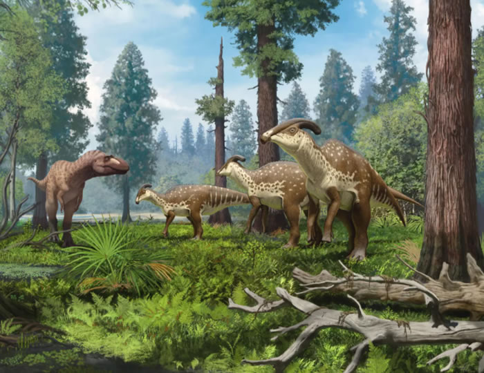 科学家近百年来首次发现副栉龙Parasaurolophus cyrtocristatus保存完好的头骨化石