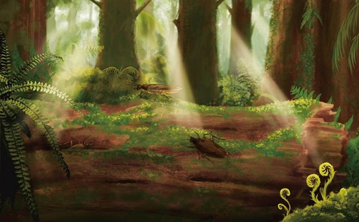 玉门鞘蠊的生态复原图(黎家豪绘制)