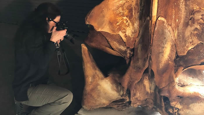 2019걻ݺĺ㡰ī岼Ͼȫ