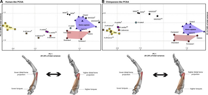 ��ʯ���⽨ģ�о���������������Ĵָ��Դ��200����ǰ