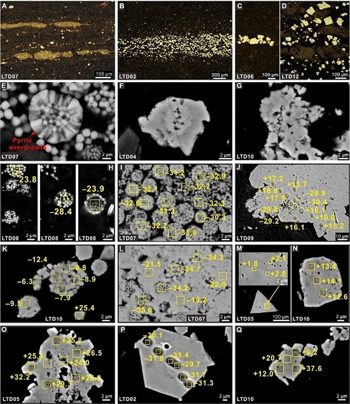 埃迪卡拉纪深水相蓝田组黄铁矿的主要形态及其原位微区硫同位素组成特征