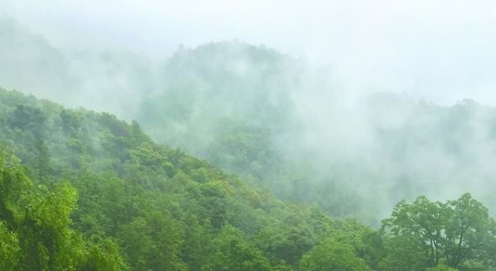 中国南方常绿阔叶林景观。李树峰摄