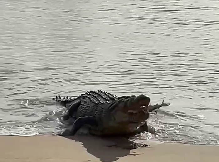 ʿŮɳ̲ϵ2С û뵽ȻﱻԵ